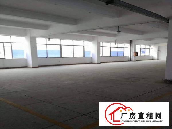  厂房出租龙岗吉祥爱南路边新出精装修厂房500平报价20元可分