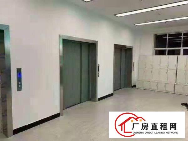  坂田南坑工业区厂房出租2万平方100平方起租仓库招租合租