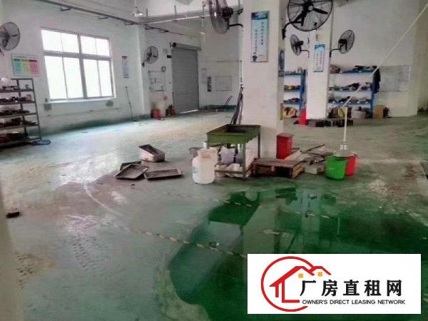  龙岗新生一楼1200平米精装修厂房仓库出租分租