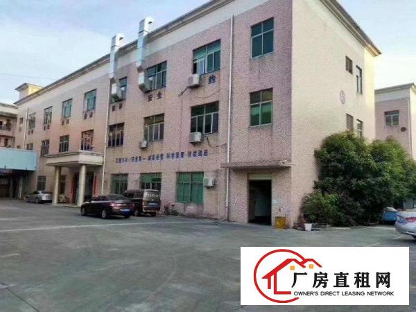  龙岗新生一楼1200平米精装修厂房仓库出租分租