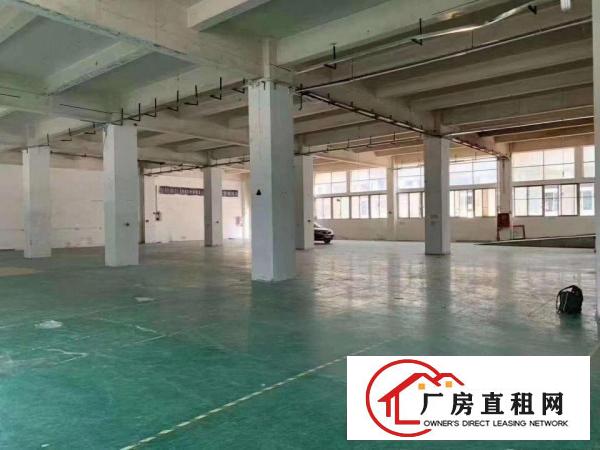  平湖华南城附近原房东厂房一二楼大小面积出租带装修一楼层高6米