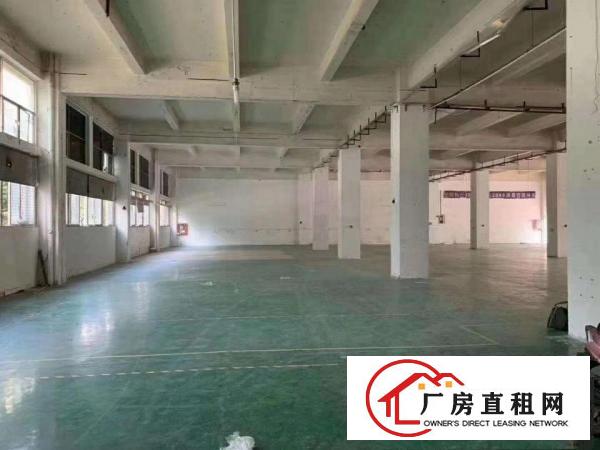 平湖华南城附近原房东厂房一二楼大小面积出租带装修一楼层高6米