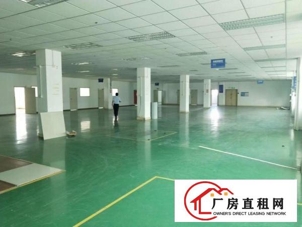  平湖华南城附近原房东厂房一二楼大小面积出租带装修一楼层高6米