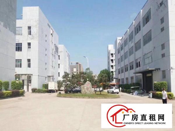  龙岗新生新出精装修标准厂房550平，水电现成，可办环评