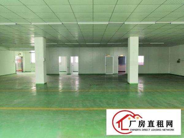  龙岗新生新出精装修标准厂房550平，水电现成，可办环评