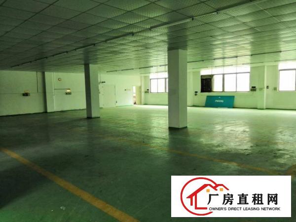  龙岗新生新出精装修标准厂房550平，水电现成，可办环评