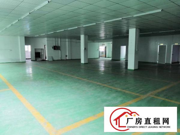  龙岗新生新出精装修标准厂房550平，水电现成，可办环评