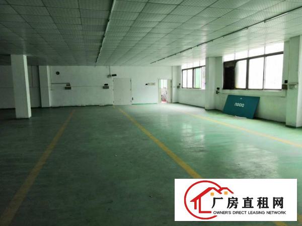  龙岗新生新出精装修标准厂房550平，水电现成，可办环评
