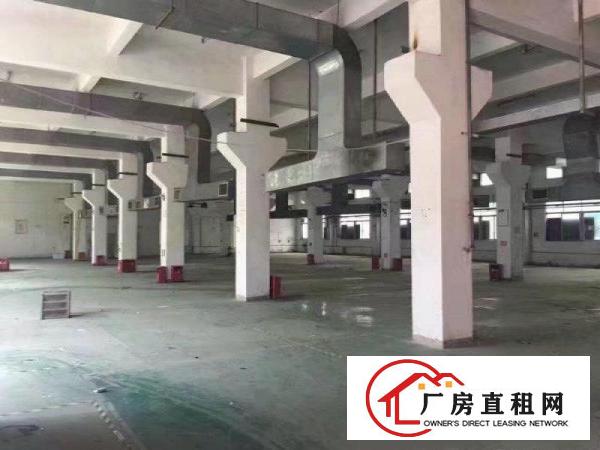  龙岗一楼厂房出租1500平600平2200厂房招租