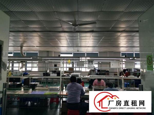  龙岗南联地铁站附近新出一二三楼共3000平电商物流厂房出租