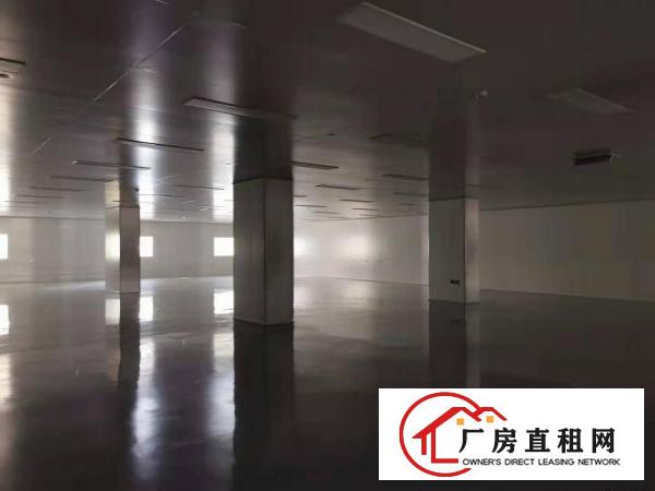  龙岗宝龙科技园全新百万级无尘车间厂房出租