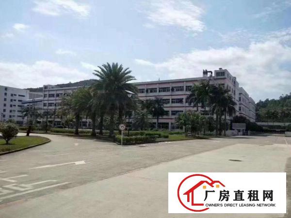  龙岗龙城原房东独院170000平厂房出租空地超大。
