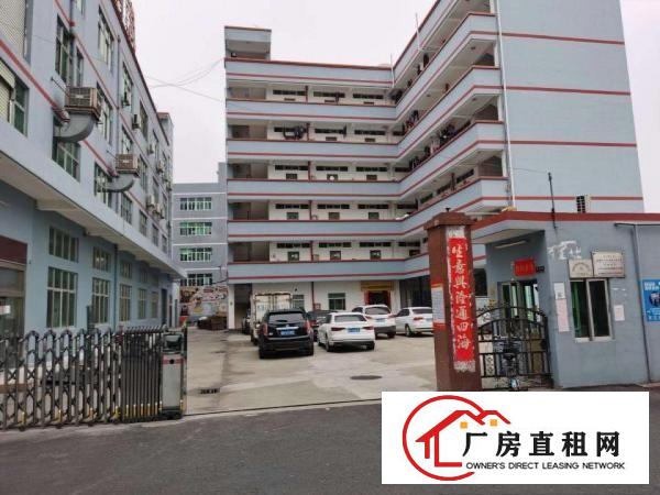  平湖新厦工业城3万平方红本厂房出租200分租可办印刷环评招租