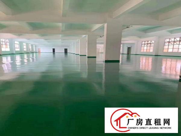  平湖上木古宝来工业区一二楼每层1200平方厂房招租