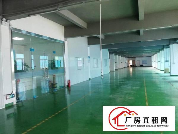  平湖上木古宝来工业区一二楼每层1200平方厂房招租