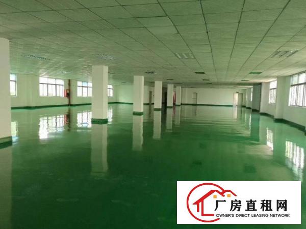  平湖上木古宝来工业区一二楼每层1200平方厂房招租