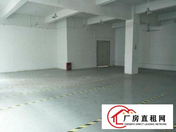  龙岗南联地铁站附近大型产业园标准厂房业主直招