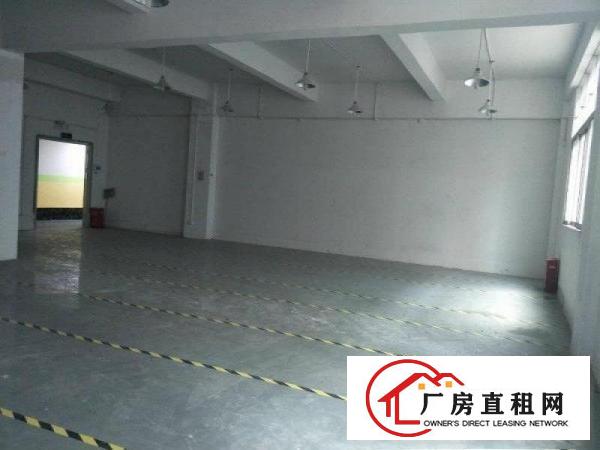  龙岗南联地铁站附近大型产业园标准厂房业主直招