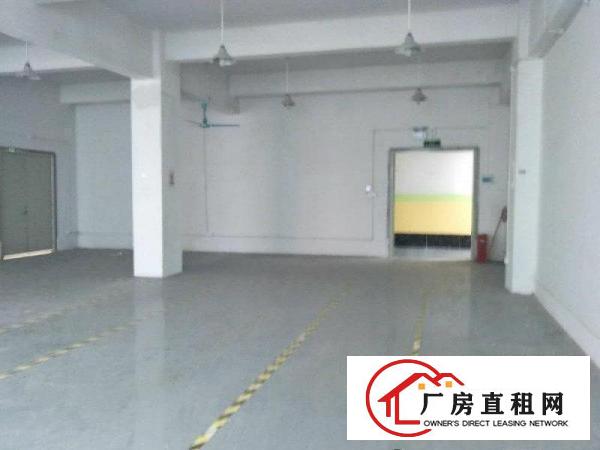  龙岗南联地铁站附近大型产业园标准厂房业主直招