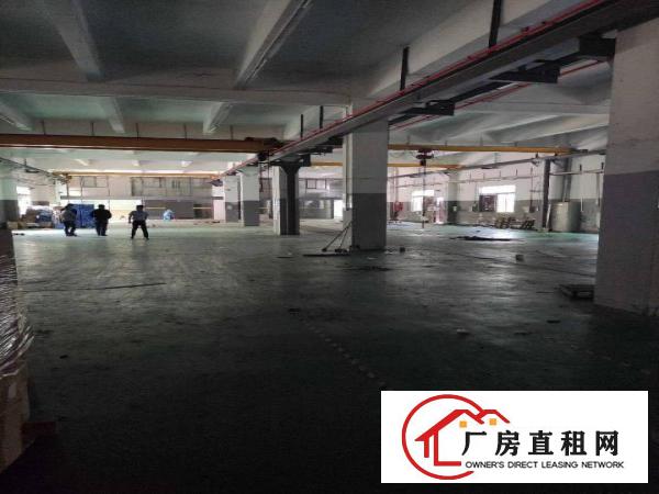  S南联独院厂房2500平方可分租