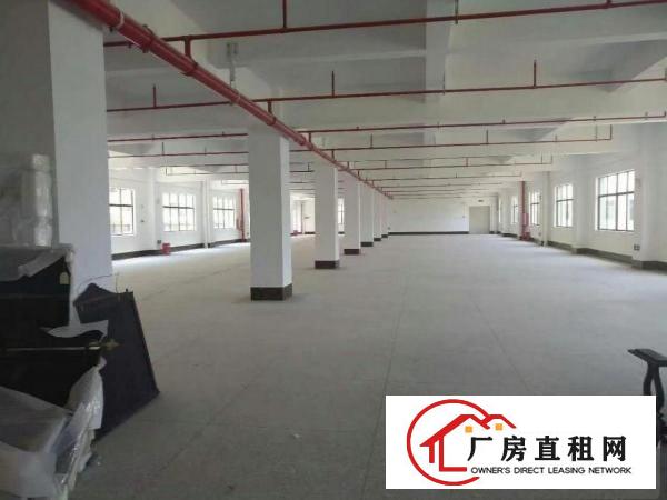  S南联独院厂房2500平方可分租