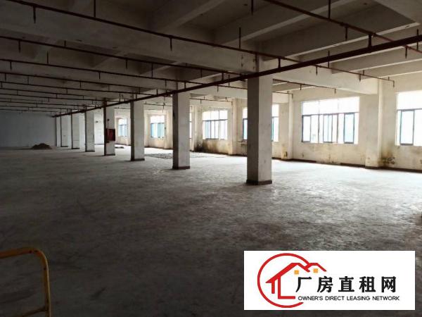  厂房出租一楼2000平方龙岗南联爱南路空地超大原房东