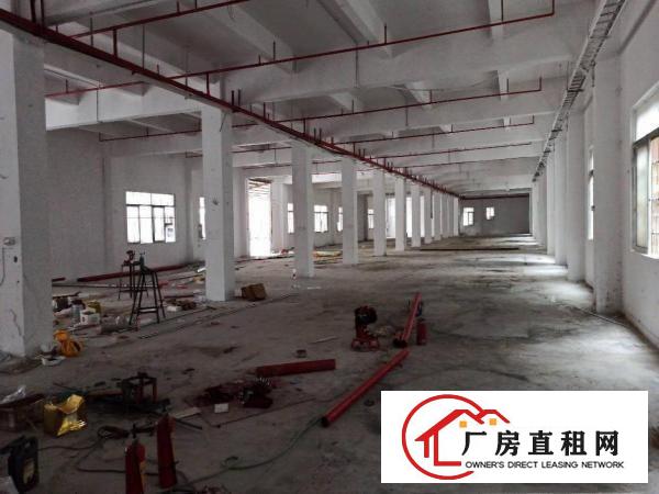 厂房出租一楼2000平方龙岗南联爱南路空地超大原房东