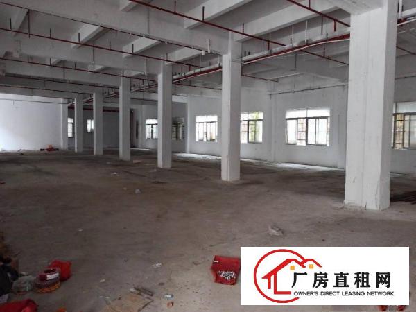  厂房出租一楼2000平方龙岗南联爱南路空地超大原房东
