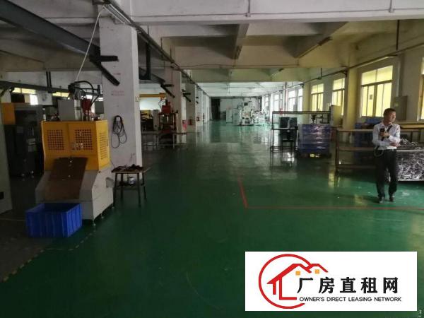  龙岗原房东一楼3300平招租