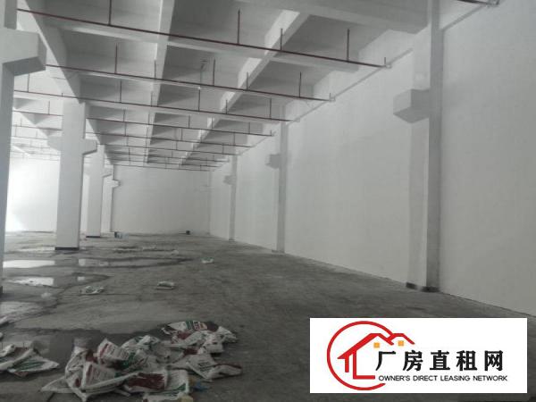  横岗旱塘村新出一楼花园式精装厂房1200平出租，可分租带消防