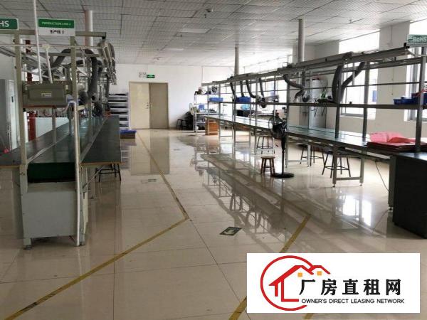  精装办公区外加电子料和成品仓库，部分办公设备可直接使用