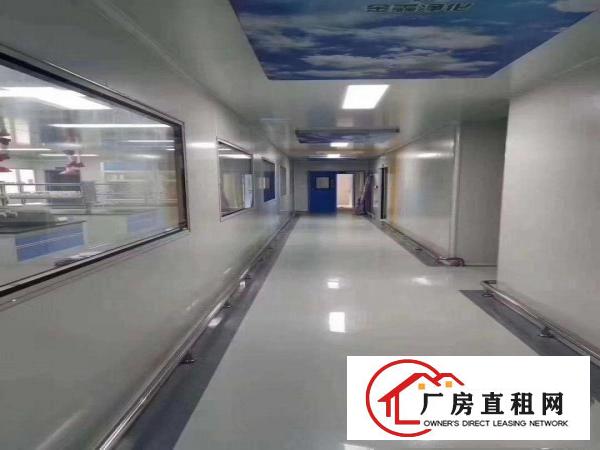  无尘医疗车间场地出租，600平
