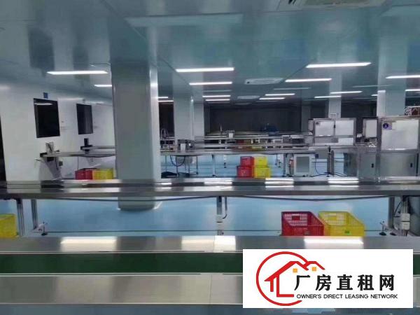  无尘医疗车间场地出租，600平