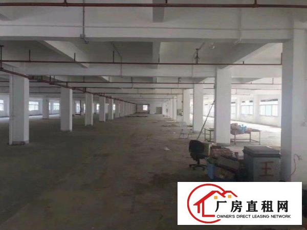  横岗超大空地红本厂房出租