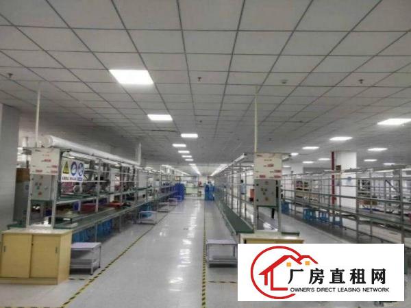  横岗嘉华路一楼厂房出租600平米，水电齐全，带办公室装修