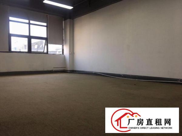  出租龙岗区横岗红棉路228工业区附近豪华装修创意园出租