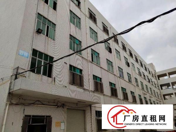  出租龙岗区横岗厂房免中介费