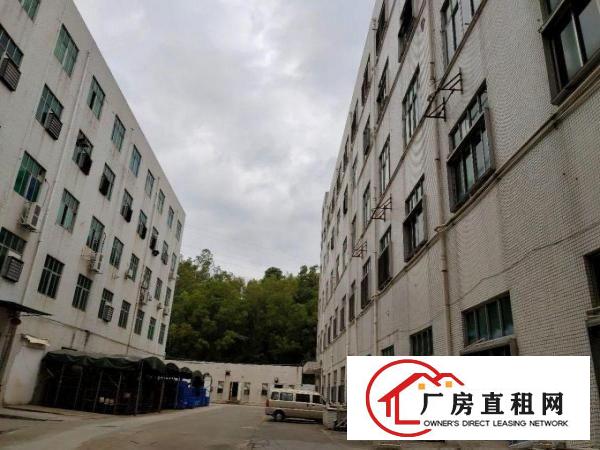  出租龙岗区横岗厂房免中介费