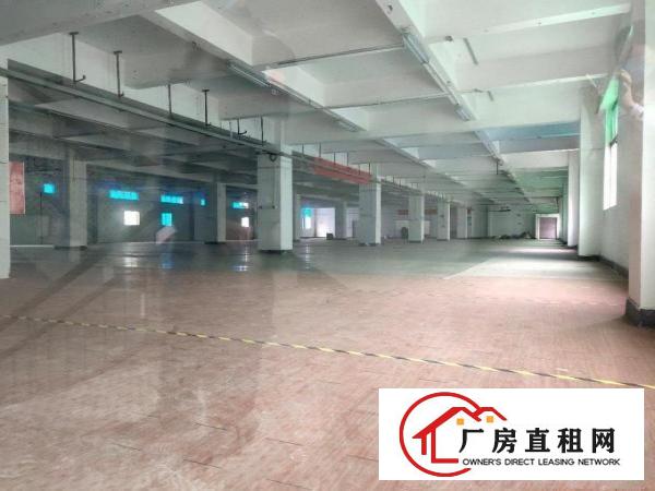  出租龙岗区横岗厂房免中介费