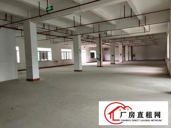  出租龙岗区横岗大康路二楼厂房免中介费