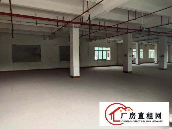 出租龙岗区横岗大康路二楼厂房免中介费