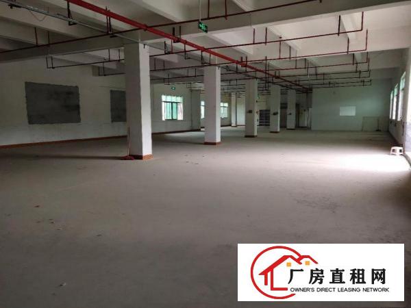  出租龙岗区横岗大康路二楼厂房免中介费