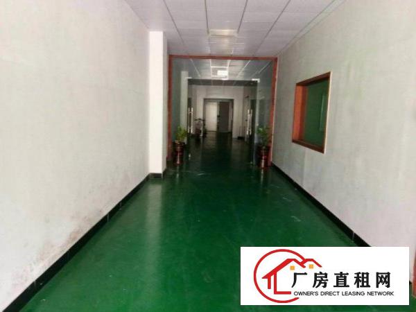  横岗怡锦社区空出二楼1000平方米厂房原房东，可办环评