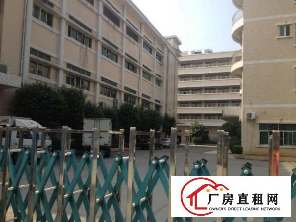  横岗四联一楼厂房900平方出租原房东，可办环评，配电大