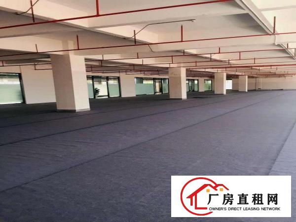  横岗横岗安良精装修独栋厂房6000平米
