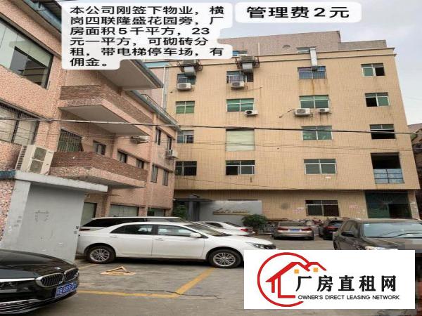  龙岗横岗四联新出厂房招租可分租