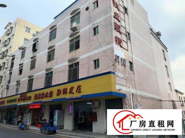  龙岗横岗四联新出厂房招租可分租