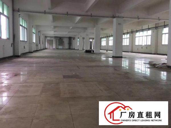  横岗大康一楼390平方带精装修厂房出租