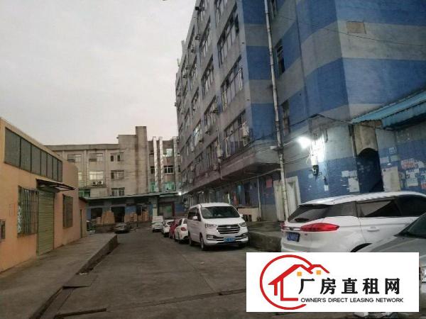 横岗地铁站出口处可做公寓的宿舍楼整栋包租