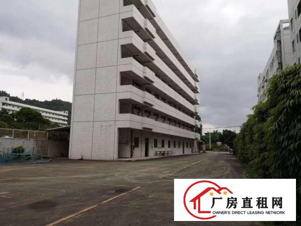  出租龙岗区横岗独院厂房，消防喷淋，3吨电梯